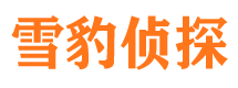 茂港市侦探公司